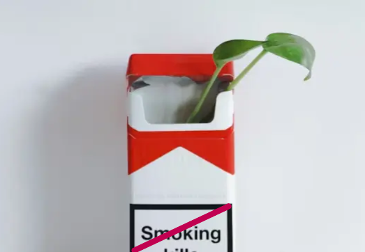 Raucherstopp durch Hypnose in Radolfzell — WolfsKraft Coaching