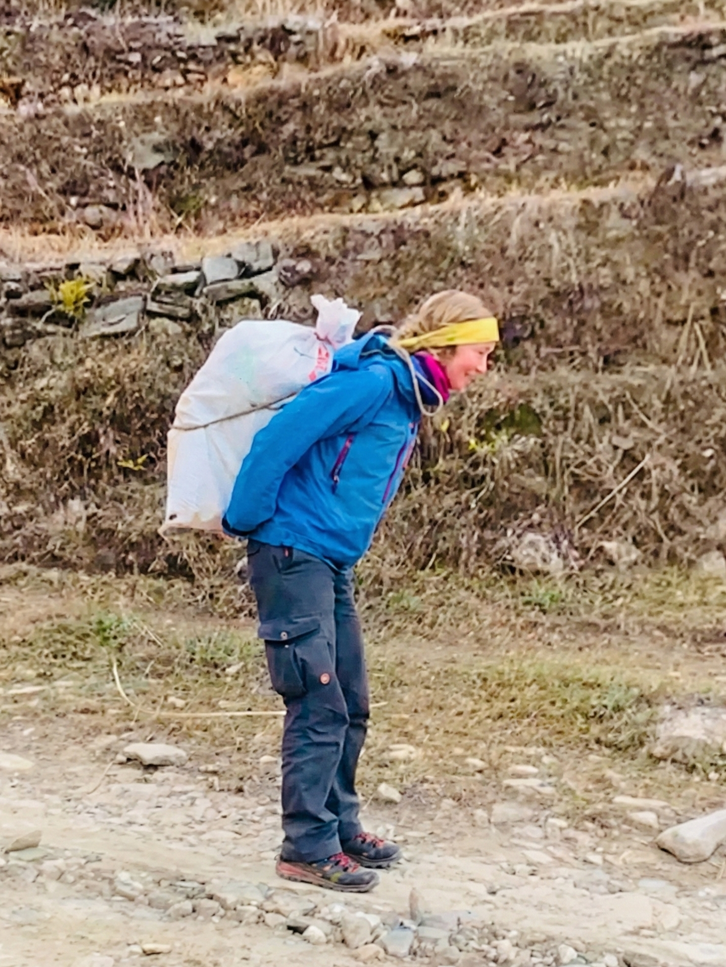 Der Wolf — Symbol für innere Stärke und Intuition